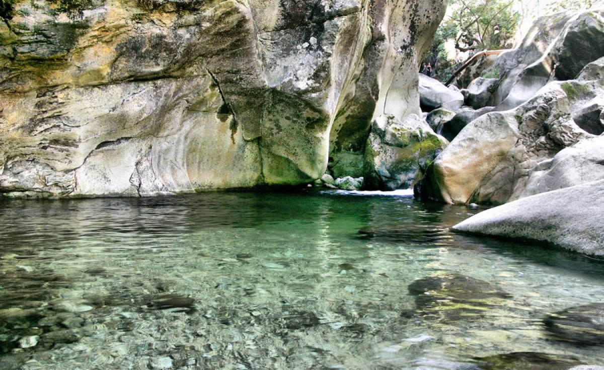Beautiful Nature
