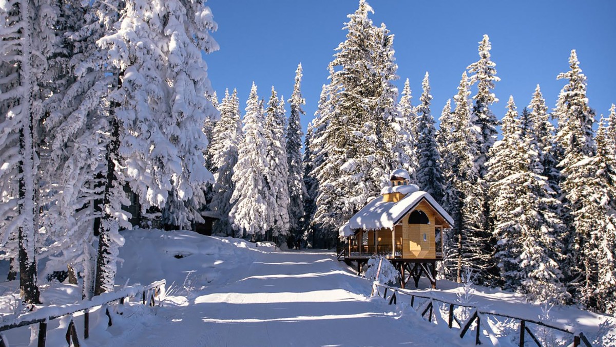 Vitosha in Winter