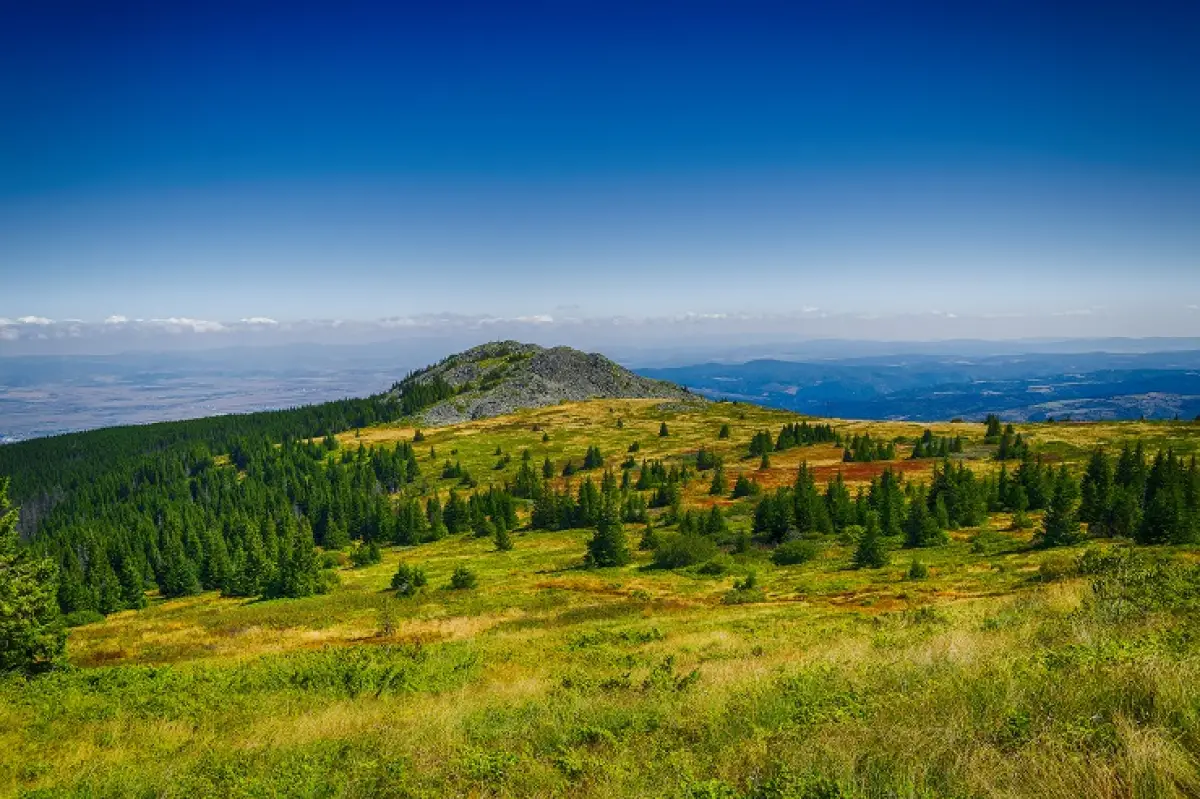 Vitosha_1-shutterstock_589090091